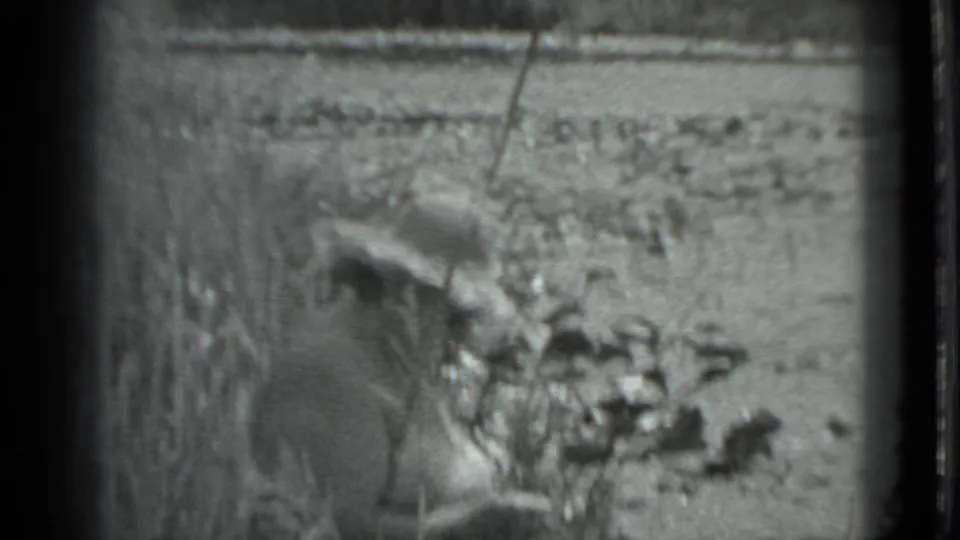 The final frame shows the woman leaning near reeds on the rocky Moscow riverbank, with water and stones visible behind her.