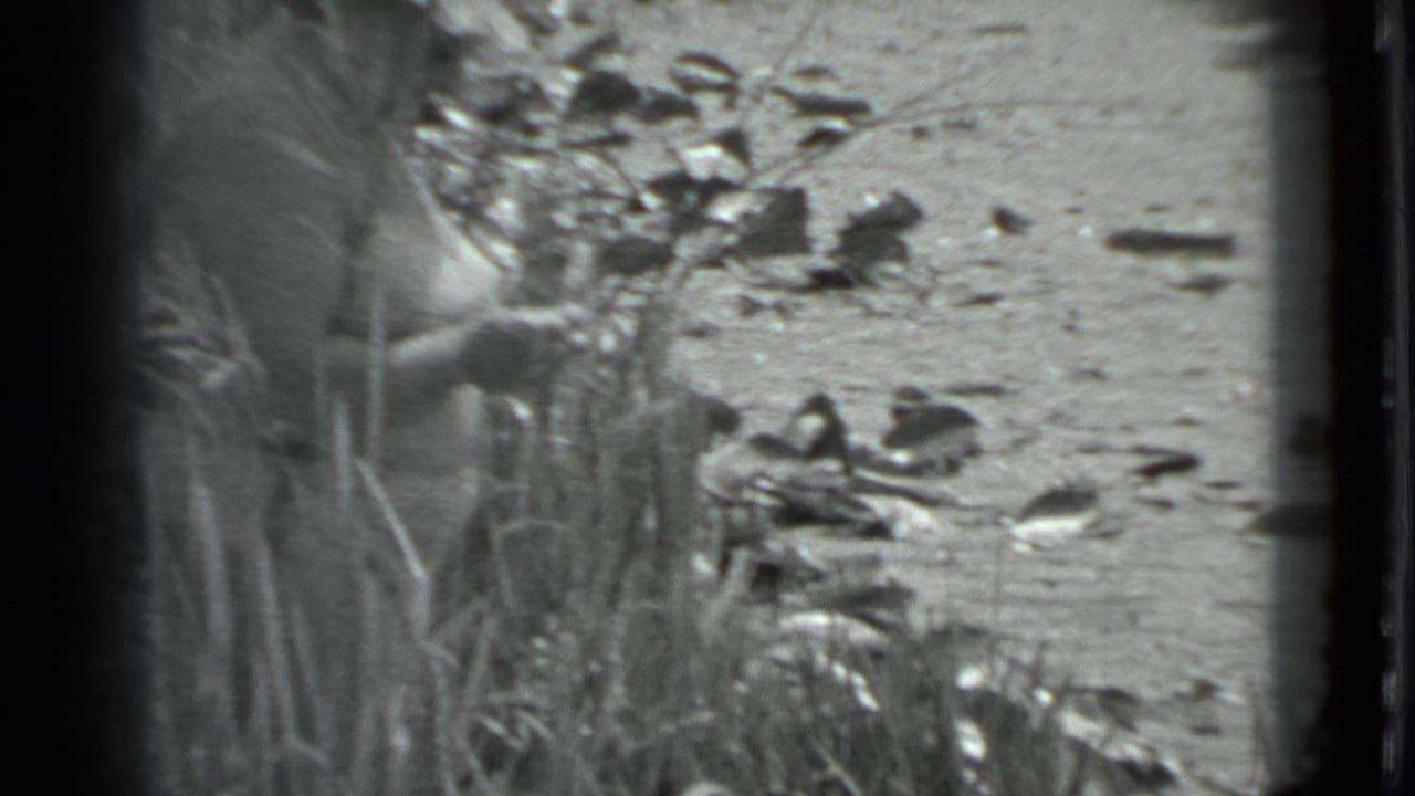Woman partly obscured by tall grass beside a rocky riverbank.