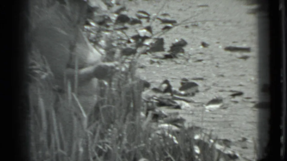 In 1983 Moscow home-movie footage, a woman in a light dress and hat stands near tall grass and scattered stones by the riverbank.