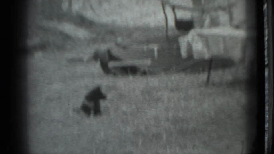 Black-and-white 8mm frame from the Moscow campground showing a small dog in the grass near a covered outdoor table.
