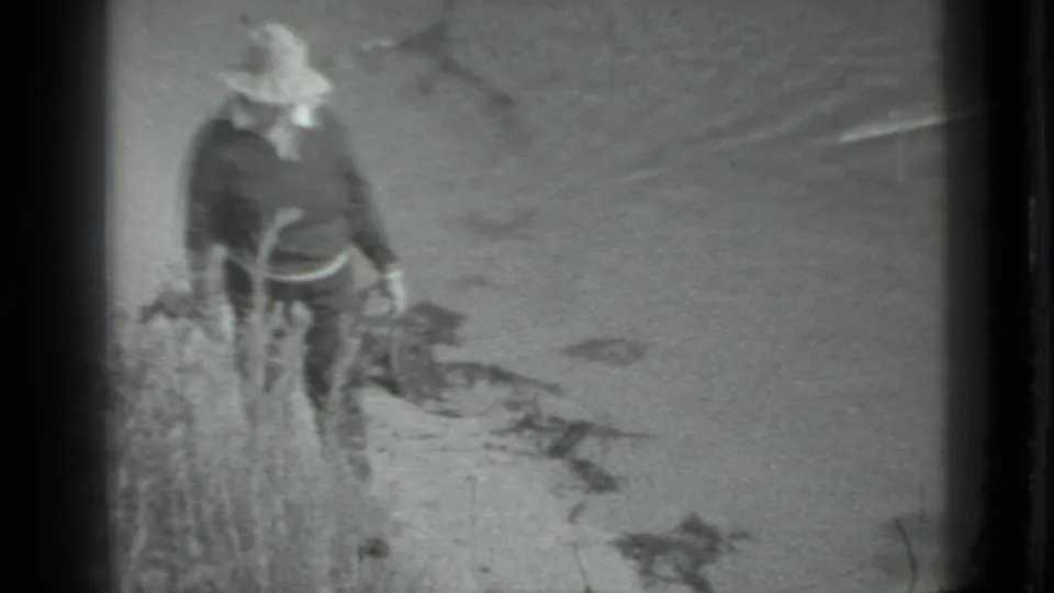 At the end of the clip, the woman stands or walks near shoreline plants, with sandy ground and dark debris or rocks nearby.