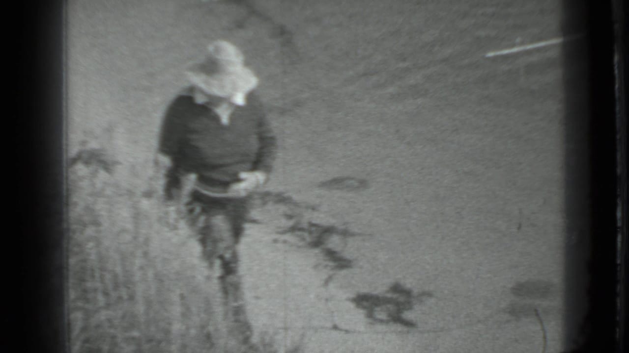 Person in a wide-brimmed hat walking along a sandy lakeshore.