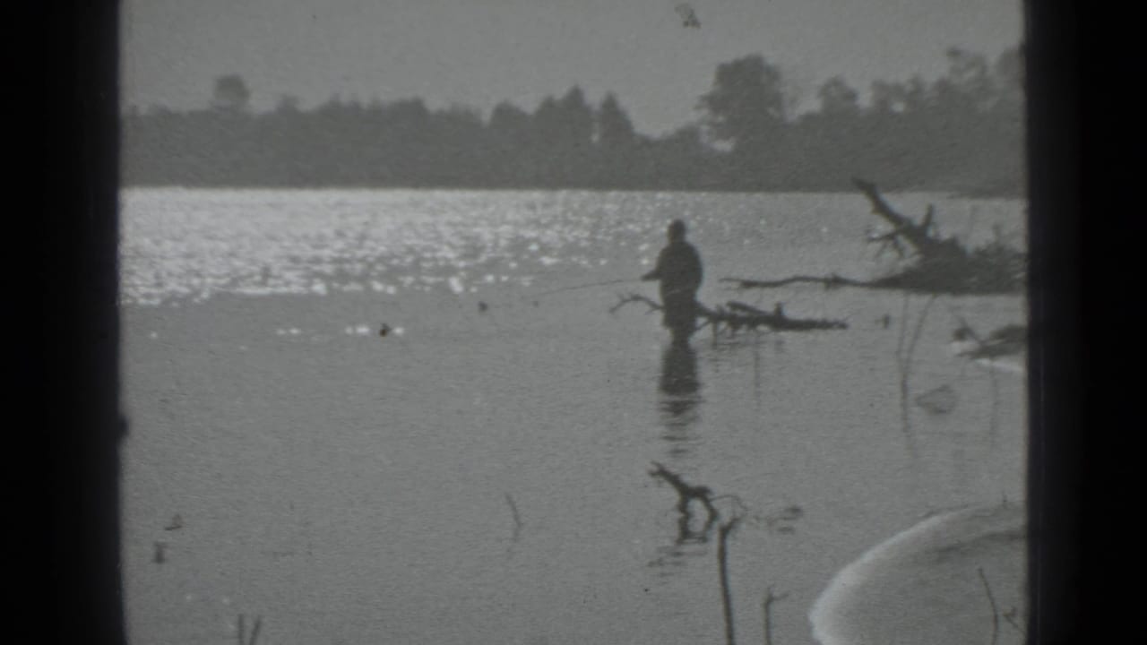 A lone man stands in shallow lake water near driftwood with sun glittering on the surface.