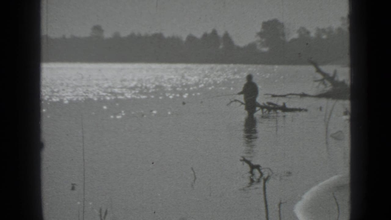 Distant 1983 Moscow lake view with a man fishing near branches while sunlight reflects across the water.