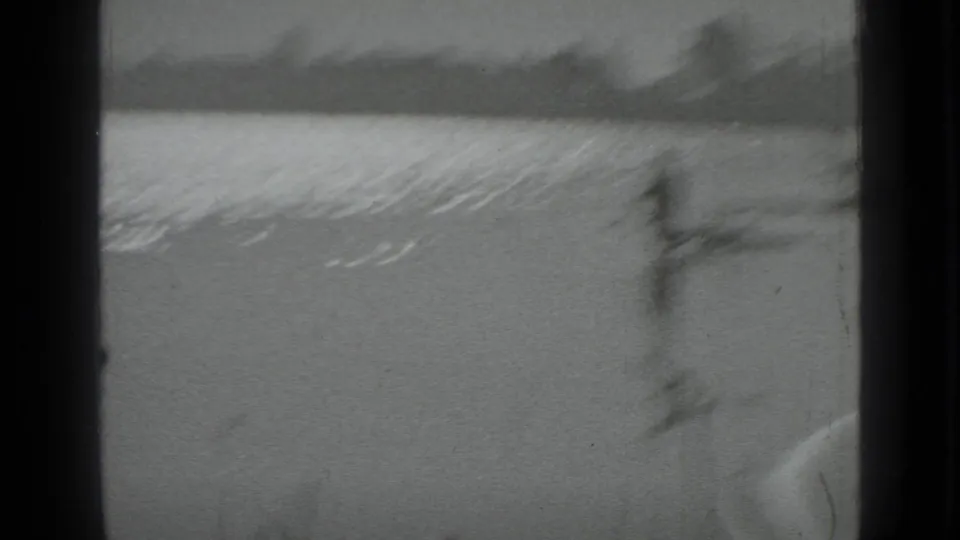 Soft, blurred 8mm frame from the Moscow lake sequence, with water, shoreline, and foreground vegetation visible.