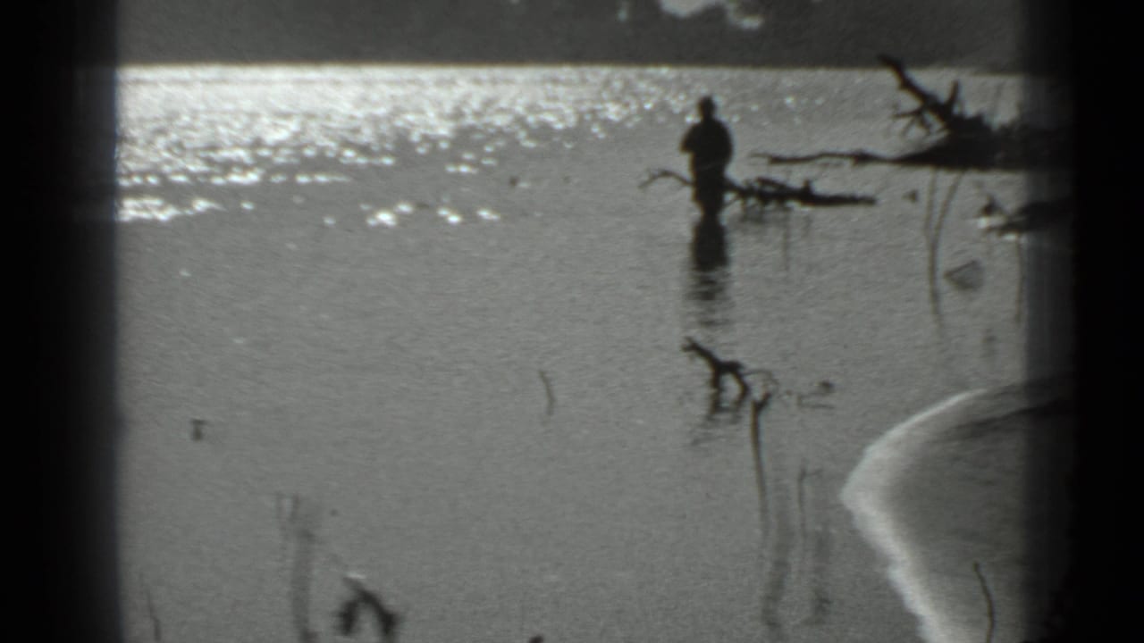 Man fishing in shallow water beside reeds and a fallen branch.