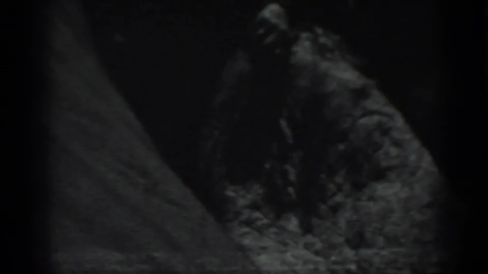 Grainy 8mm frame from the Moscow 1983 clip showing a dark rough surface near a pale sloped form, possibly bark or rock.