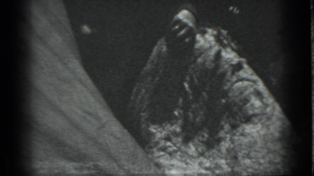 Close-up of a rough dark surface with a pale sloping shape along the left side.