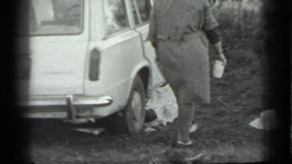 The woman moves past the rear of the light-colored car, carrying white items over uneven grassy ground.