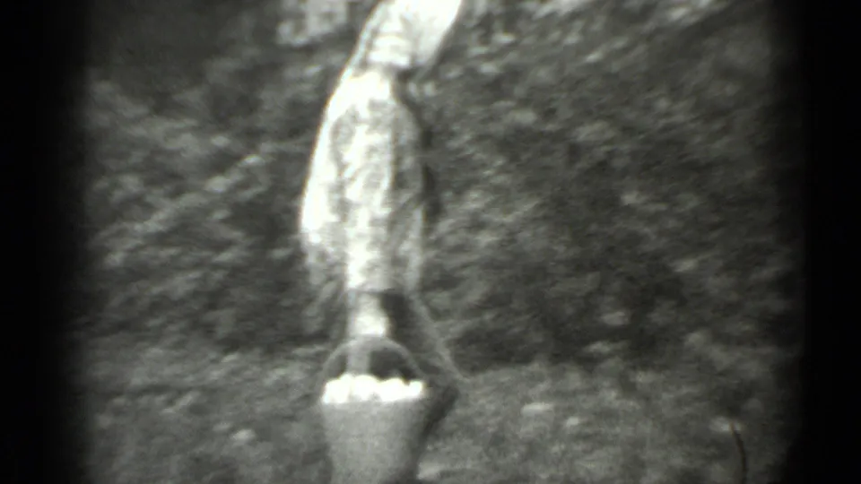 A woman in a headscarf carries a metal bucket, apparently filled with apples, through a wooded Moscow setting.