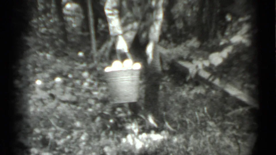 In Moscow, Russia, 1983 home-movie footage, a woman in a headscarf stands in an orchard holding a metal bucket filled with apples.