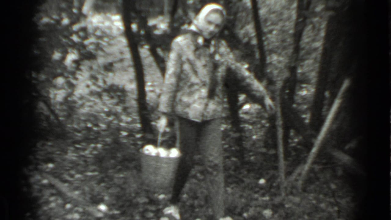 In 1983 Moscow home-movie footage, an adult in a patterned jacket walks through a wooded area with a bucket near white objects on the ground.