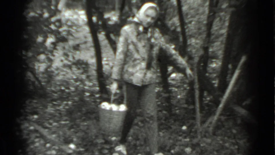 In 1983 Moscow home-movie footage, an adult in a patterned jacket walks through a wooded area with a bucket near white objects on the ground.