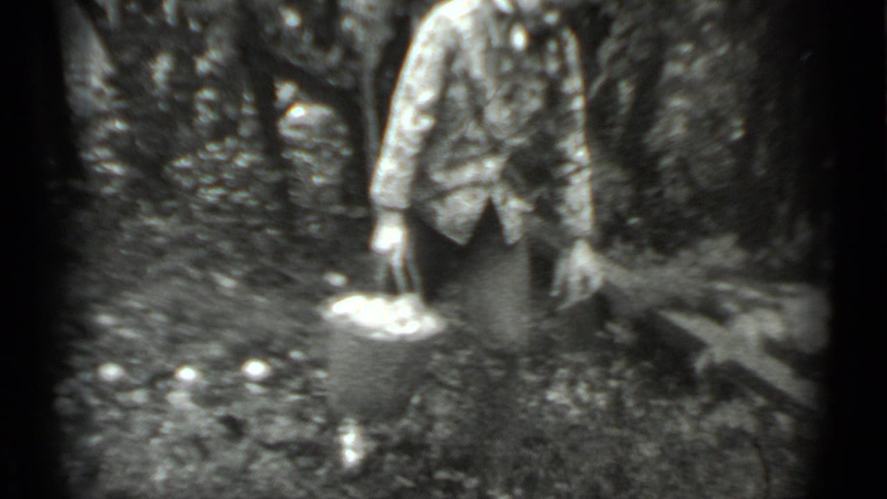 Adult stands in a wooded area holding a bucket beside scattered white objects.