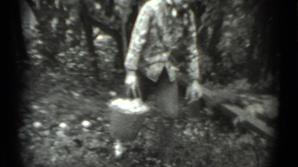 The adult stands among trees in the Moscow woodland scene, holding a bucket near small white objects on the forest floor.