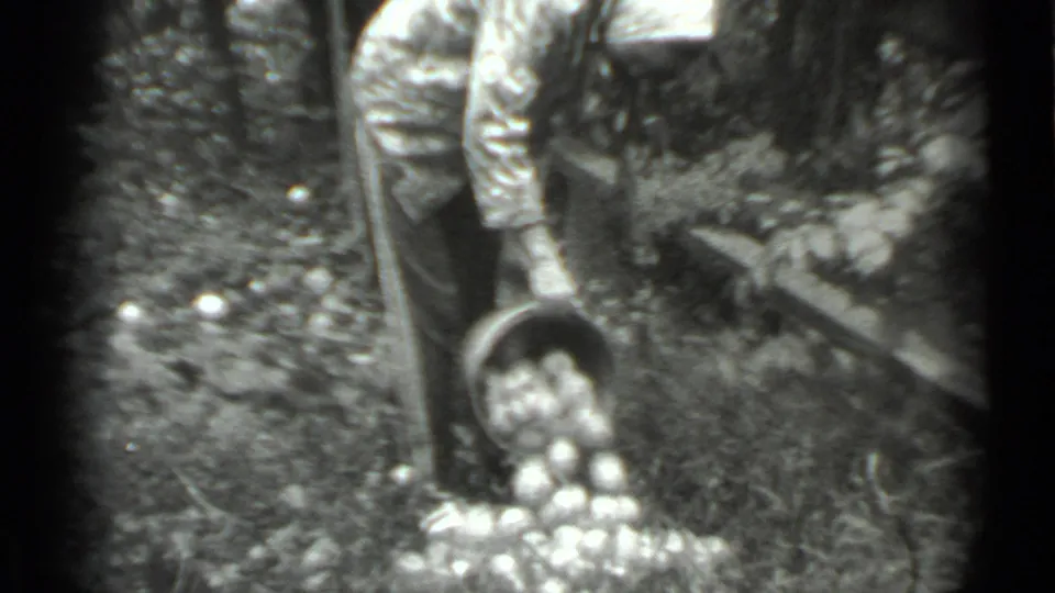 In the black-and-white 8mm frame, the adult tips a bucket, releasing small white round objects onto the wooded ground.