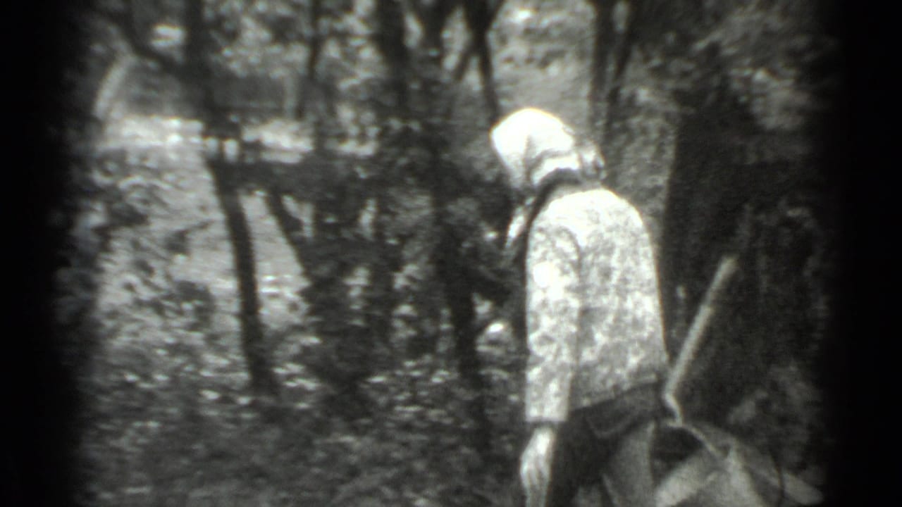 Woman stands beside a tree holding or lowering a bucket in a wooded area.