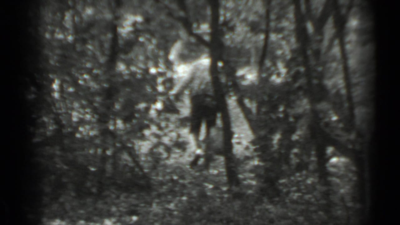 The woman remains visible between trees, holding a bucket in a wooded Moscow setting from the 1983 home movie.