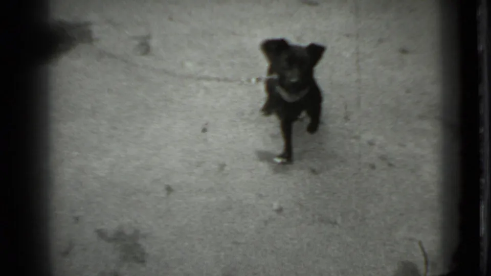 A small dark dog stands on pavement, facing the camera in the black-and-white 8mm home-movie footage.