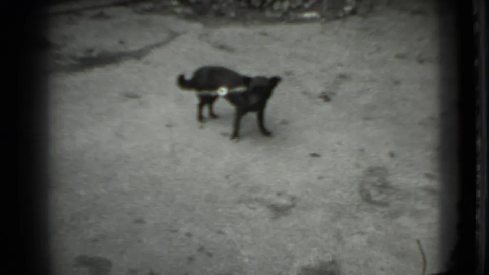 In the 1983 Moscow home-movie frame, a small black dog stands alert on rough concrete with a chain or tether visible near its collar.