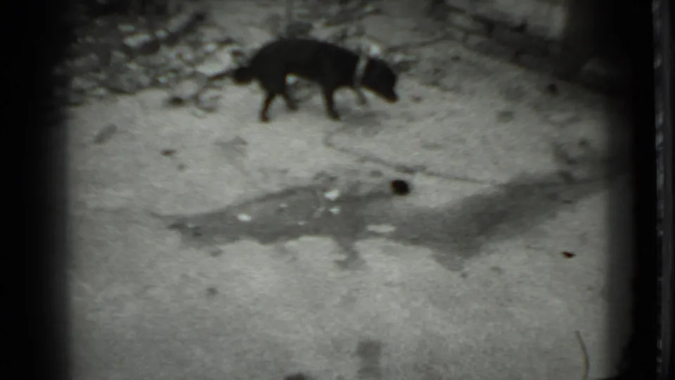 The black dog walks across rough concrete in the Moscow home-movie frame, with a darker patch or stain visible nearby and no people present.