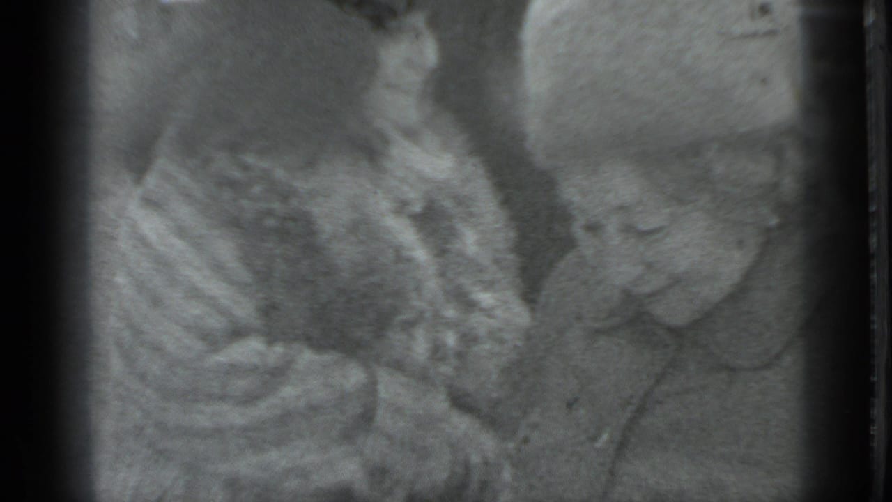 Soft, grainy close-up of indistinct pale shapes with dark film borders.