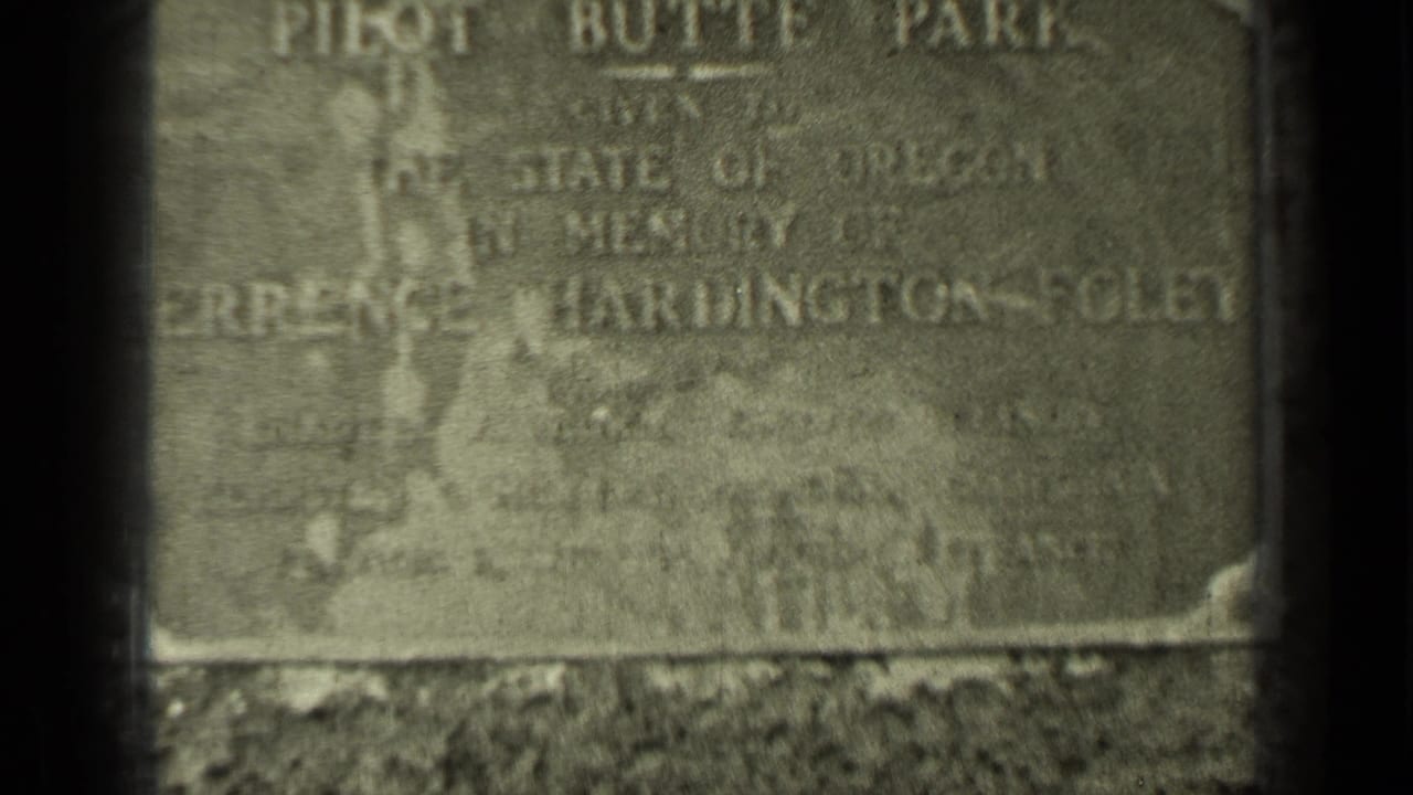 Close view of a worn engraved stone marker with trees and grass around it.