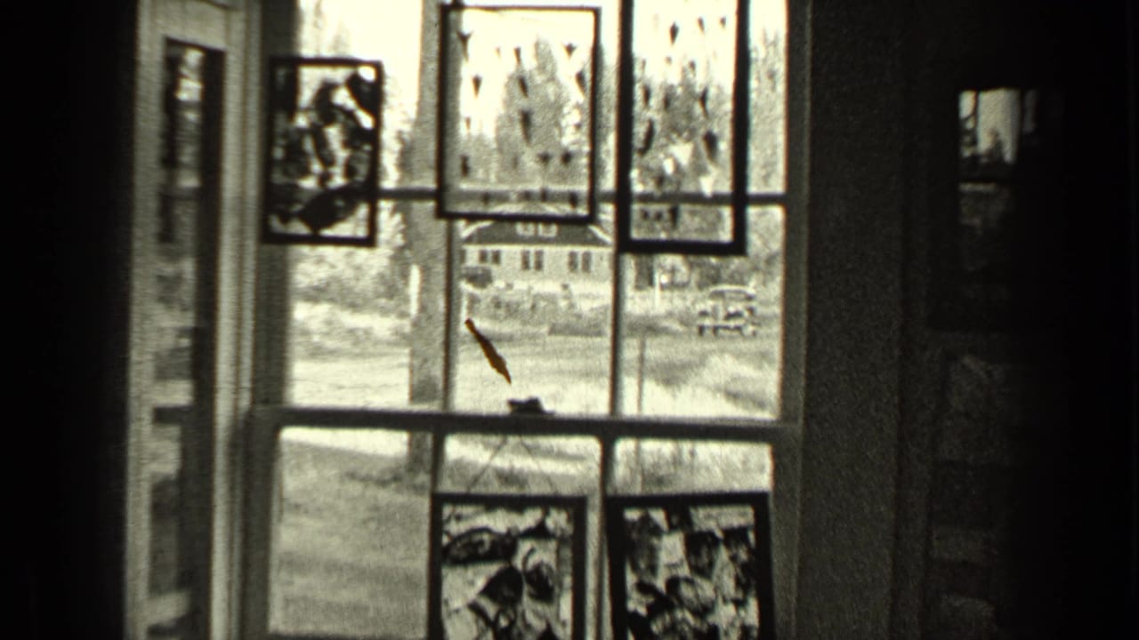 Decorated window looking onto a street with a car outside.