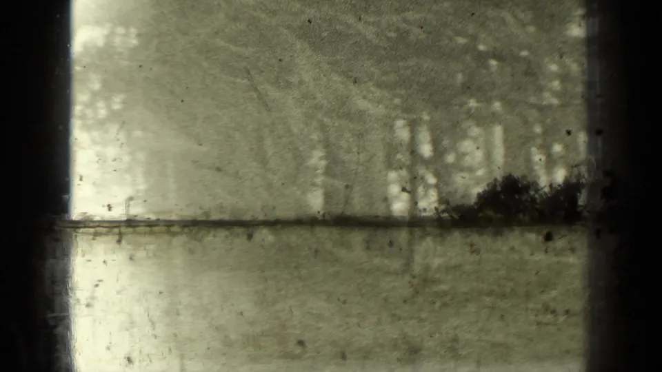 Wooded Bend, Oregon home-movie frame with trees and brush partly obscured by exposure and film gate edges.