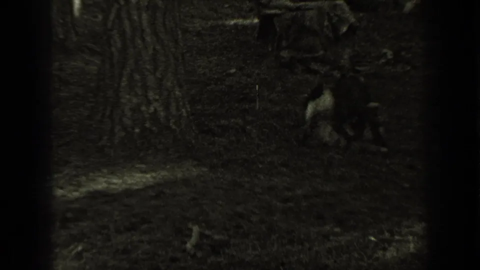 1937 Bend, Oregon frame showing small animals moving in shadow near a tree trunk on the wooded campsite floor.