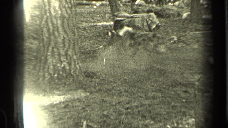 Bend, Oregon home-movie frame of small animals on the forest floor near a tree, with indistinct campsite material beyond.