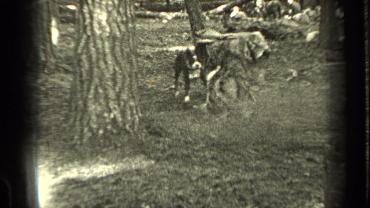 Two dogs play near a large tree in a wooded Bend, Oregon yard in 1937 home-movie footage.