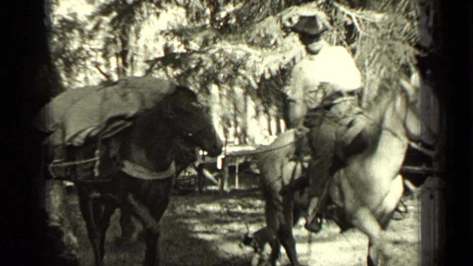 A mounted man on a light horse appears beside a loaded pack horse in a wooded Bend, Oregon camp or trail setting.
