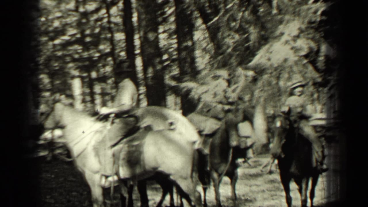 Two riders on horses pause among tall trees on a shaded forest trail.
