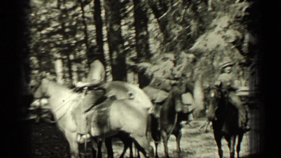 In 1937 Bend, Oregon footage, two adults on saddled horses appear among tall trees, with a light horse nearest the camera.