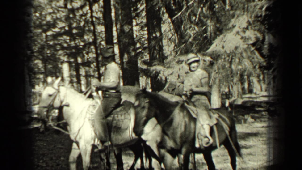 A man and woman on horseback stand side by side in a forest clearing.
