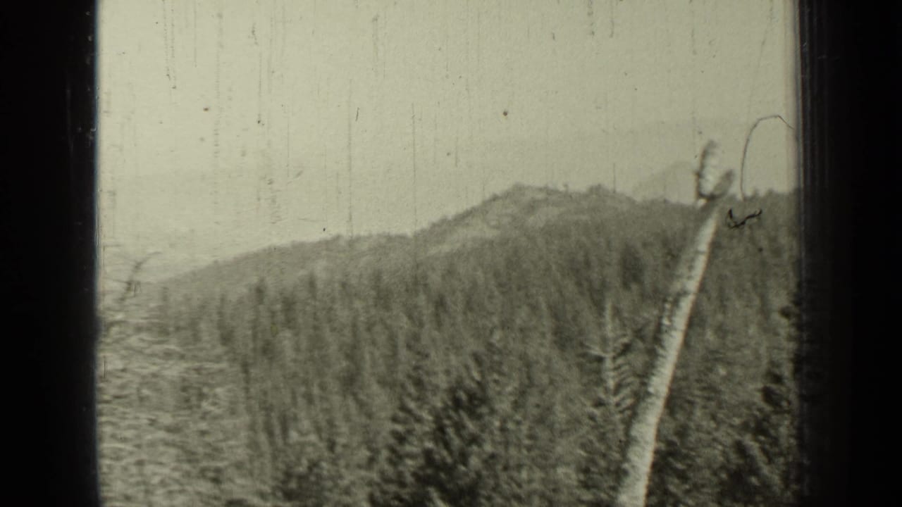 Forested hill viewed through dark film-frame edges, with a pale roadside tree or pole in front.