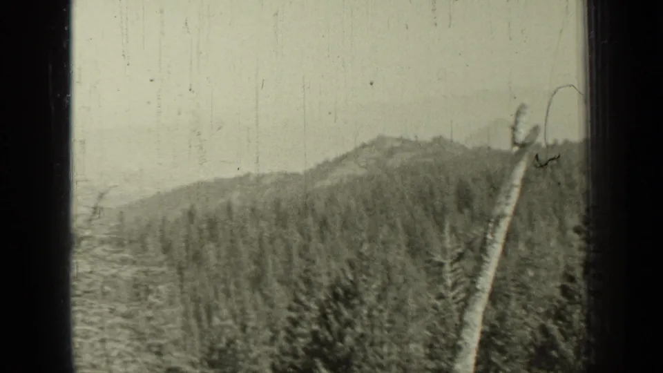 Bend, Oregon 1937 home-movie frame showing forested hills and a pale roadside tree or pole through soft 8mm gate edges.