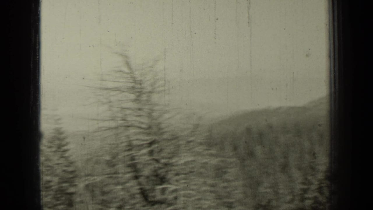 Blurred forested hillside with a tall tree or pole near the center and dark film-frame borders.