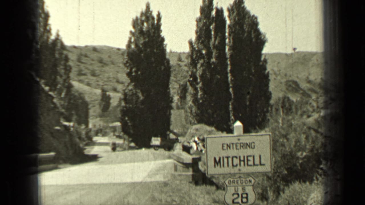 Roadside sign reading Entering Mitchell beside tall trees and parked cars.