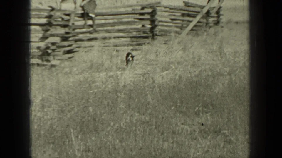 A small dog moves across tall grass beneath the split-rail fence in this 1937 rural Bend, Oregon home-movie frame.