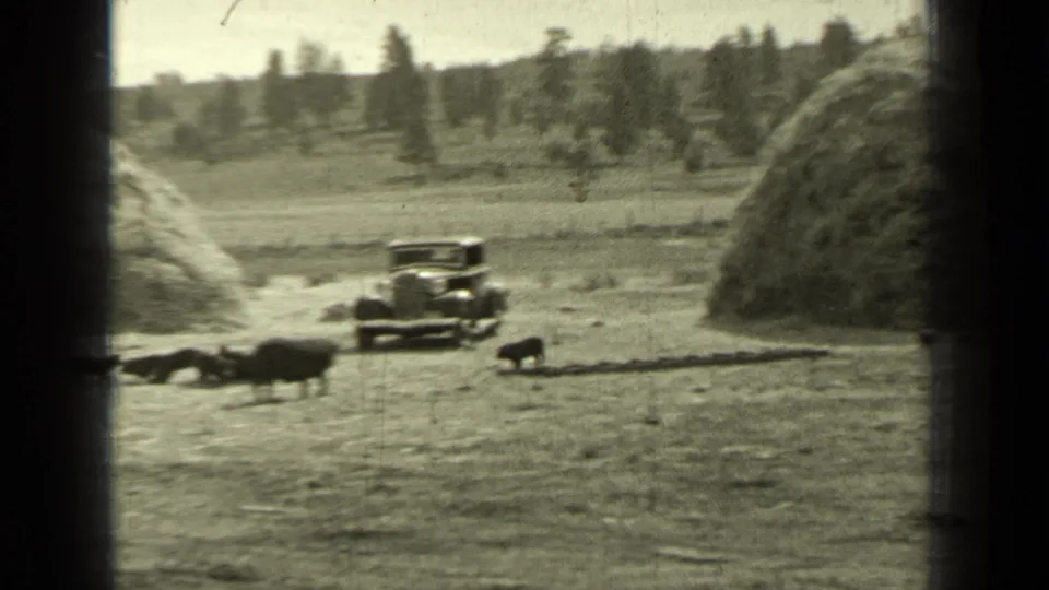 1937 Bend, Oregon frame showing an older car, hogs, dogs, dusty ground, and a large mound in a rural home-movie scene.