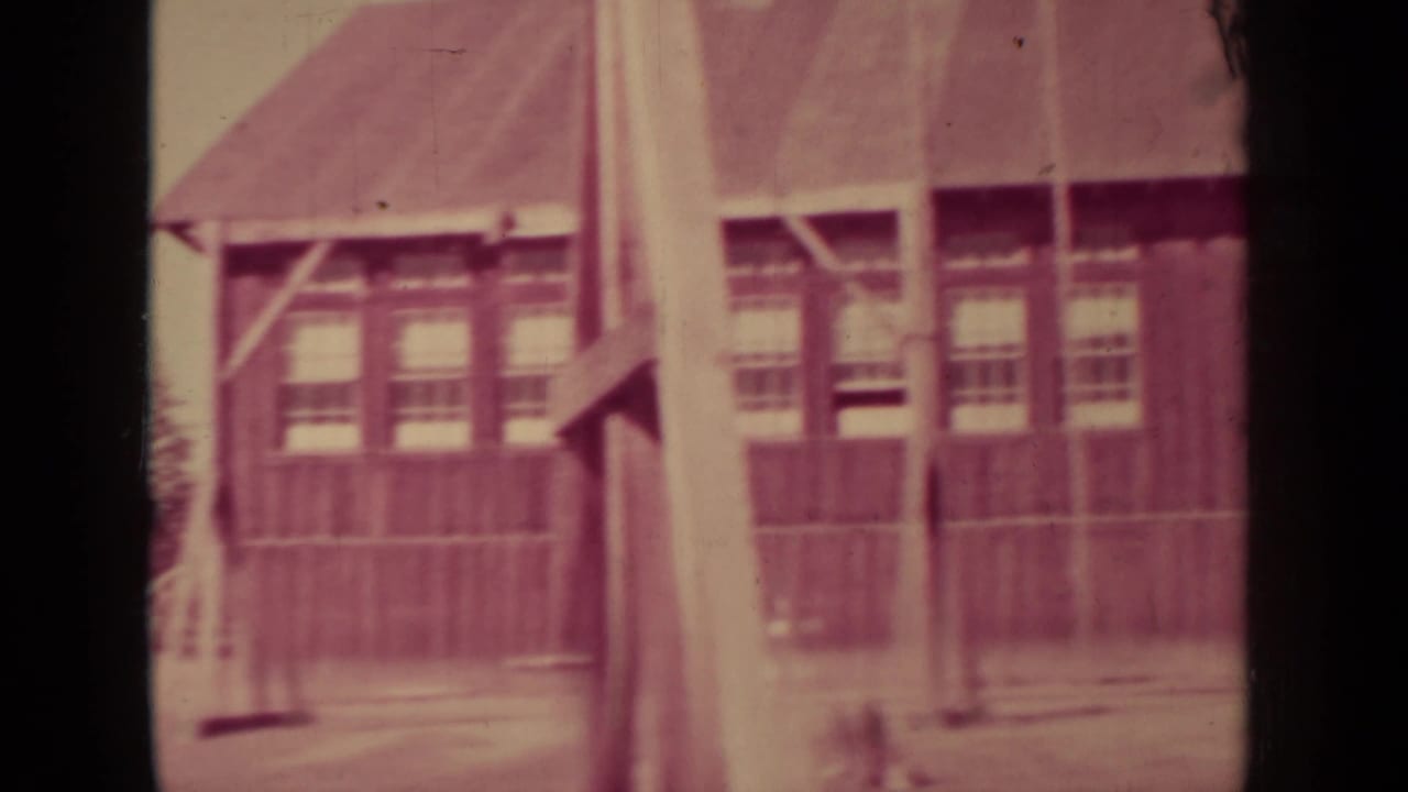 Weathered wooden building with windows beside trees and grass.