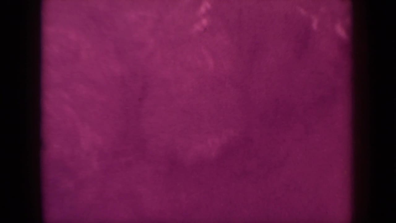 Magenta abstract frame with dark vertical borders and faint organic texture.