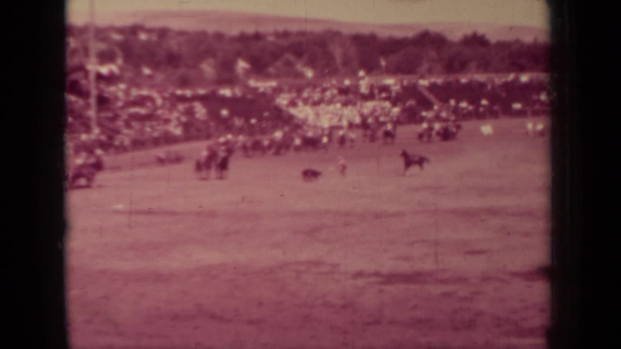 Distant 1937 Klamath rodeo action shows mounted riders and a calf moving across the arena as spectators watch from the rail.