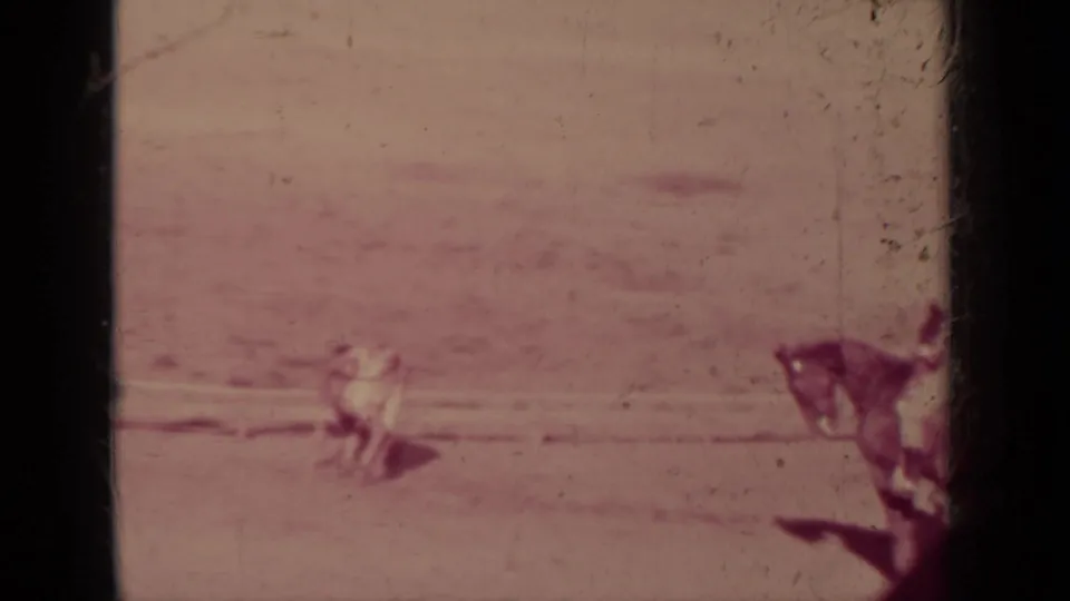 1937 Klamath home-movie frame showing a distant figure low to the ground in a dusty arena with a horse at the right edge.