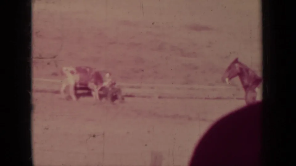 Klamath, California 1937 frame with cowboys gathered around a downed bull or steer and a horse standing nearby.