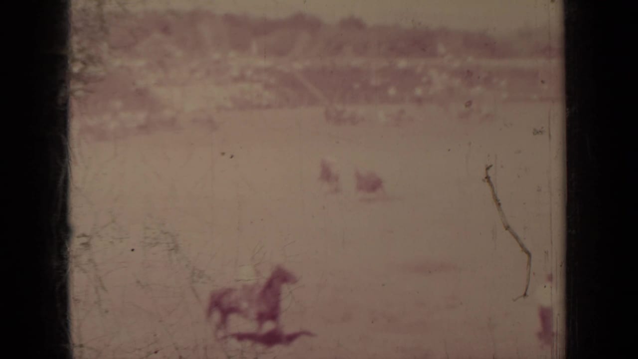 A distant mounted rider crosses a pale field with a crowd line in the background.