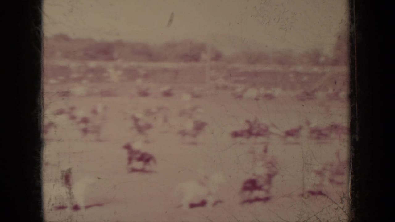 Distant riders and horses crossing a dusty open field with spectators faintly visible beyond.