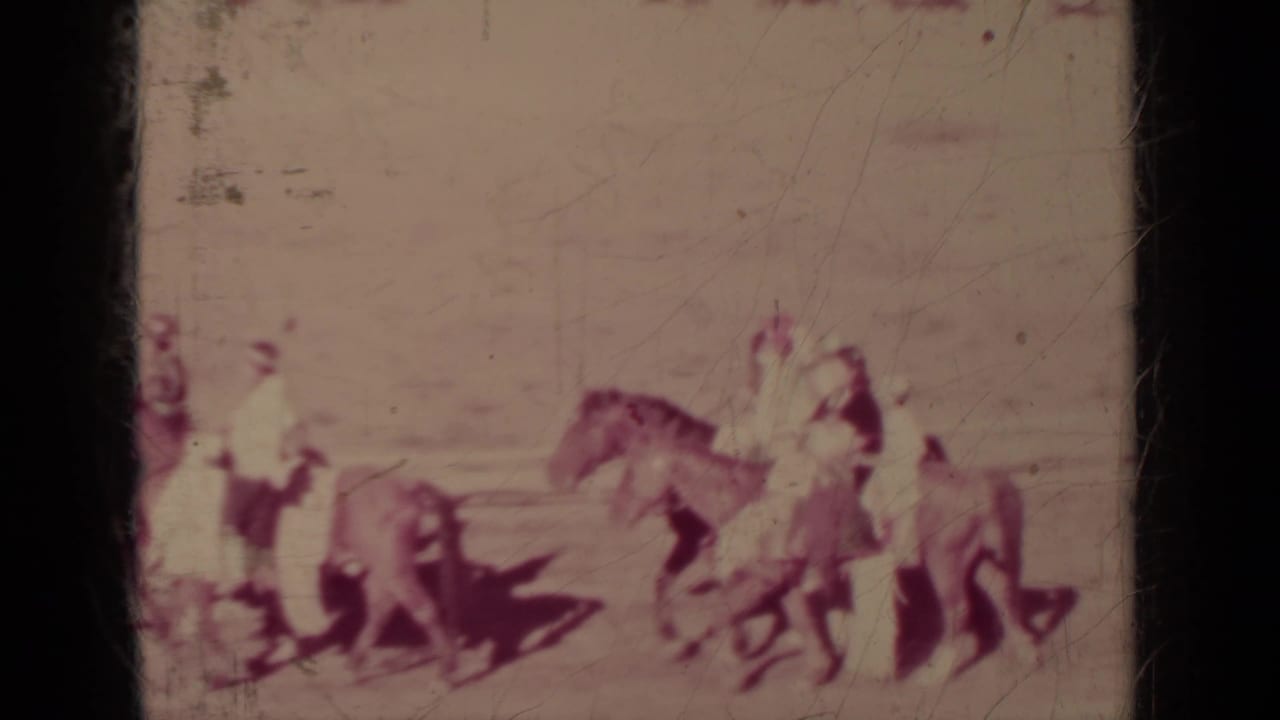 Mounted riders and led horses move along a dirt track in bright sunlight.